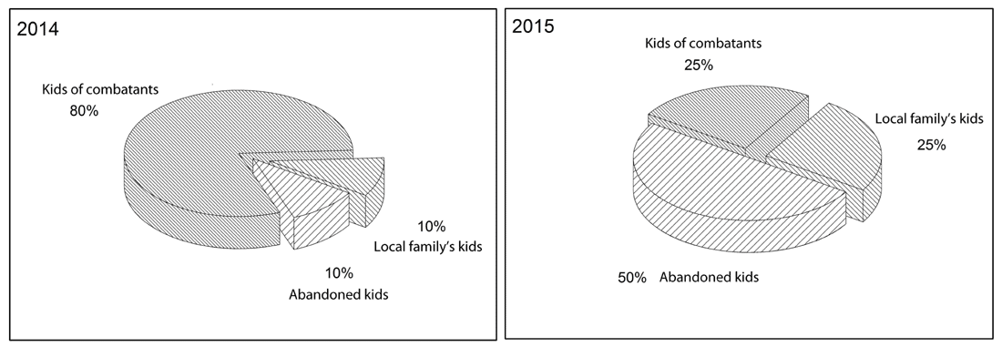 Distribution of child soldiers by the social status