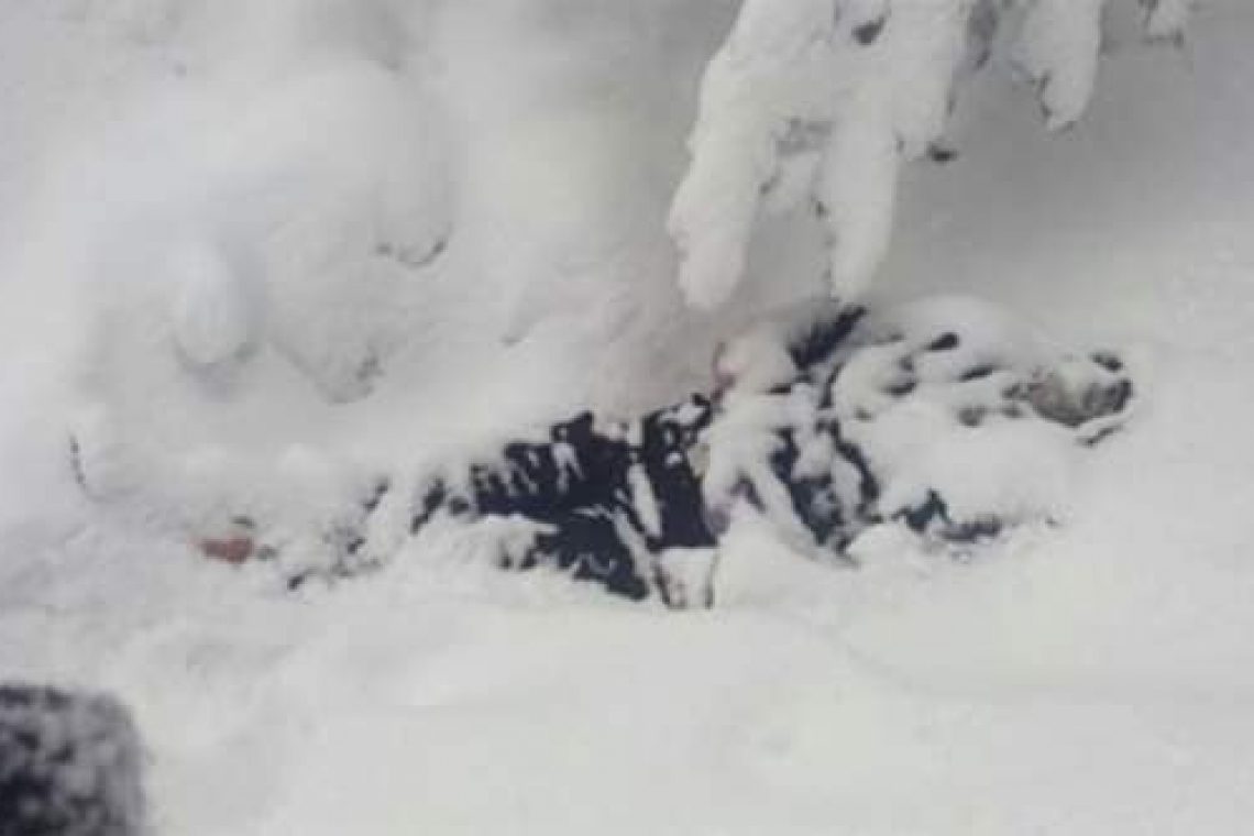 Death of Afghan refugees in the mountains at the border of Iran and Turkey, Erzurum, Turkey, Feb 8, 2020