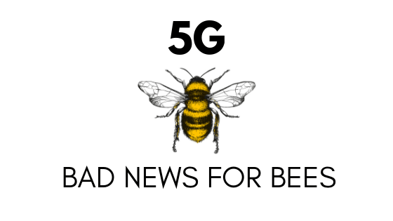 Right extremist’s 5g poster 