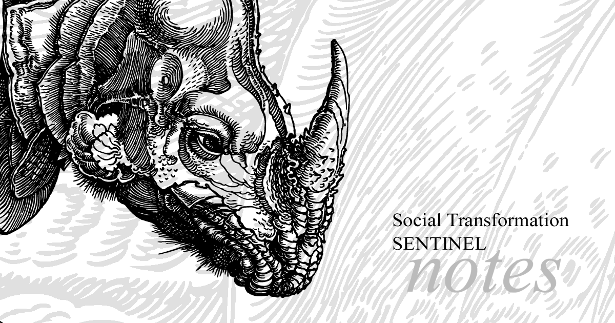 Social Transformations Sentinel Notes